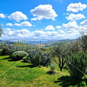 Istra, Grožnjan, luksuzna vila na osami sa panoramskim pogledom
