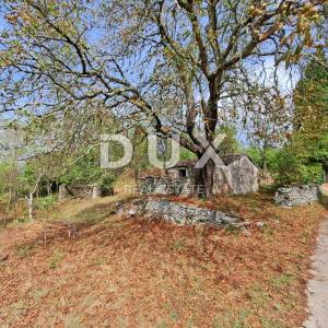 ISTRA, GROŽNJAN, OKOLICA - starina za adaptaciju sa zemljištem od 60.000 m²