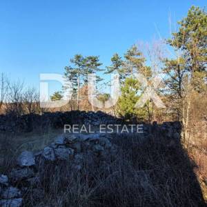 ISTRA, GROŽNJAN - Prekrasno građevinsko zemljište
