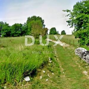 ISTRA, GROŽNJAN - Prostrano zemljište na rubu naselja