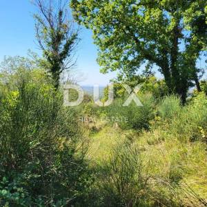 ISTRA, GROŽNJAN - Zemljište s prekrasnim pogledom