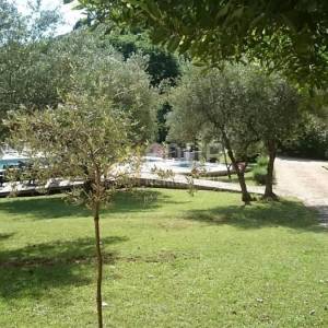 Istra, hotel 50m od mora, izvrsna investicija!
