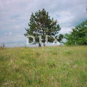 ISTRA, HUM - imanje sa 8,4 ha zemljišta