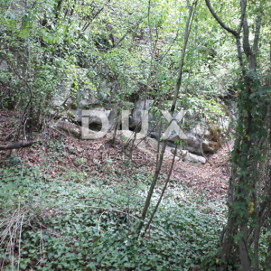 ISTRA, JURADI - Poljoprivredno zemljište s pogledom na Butonigu