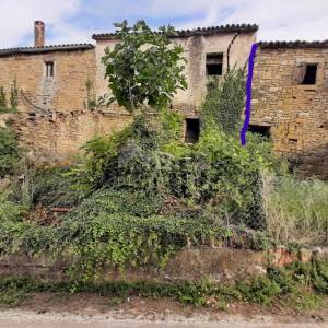 ISTRA, JURADI - Starina za adaptaciju s 9000m2 poljoprivrednog zemljišta