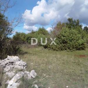 ISTRA, JURŠIĆI- Poljoprivredno zemljište 5935 m2