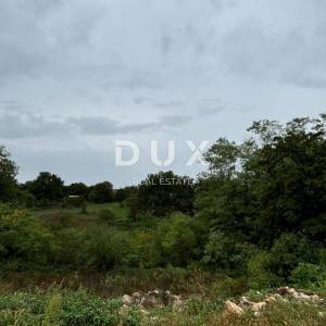 ISTRA, KANFANAR - Kombinirano zemljište u blizini centra naselja
