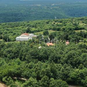 Istra, Kanfanar- okolica, građevinsko zemljište 1.461m2