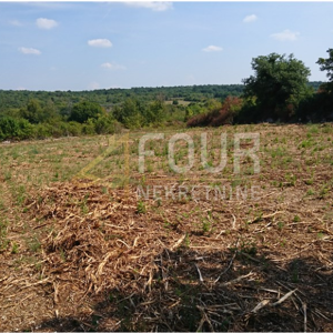 Istra, Kanfanar - okolica, građevinsko zemljište 8.599m2