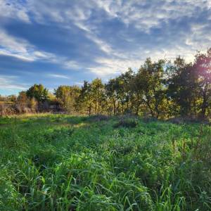 ISTRA, KANFANAR - Prostrano građevinsko zemljište
