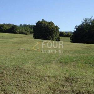 Istra, Karojba, Novaki Motovunski - okolica, građevinsko - poljoprivredno zemljište 12.550m2