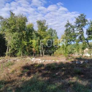 Istra, Karojba, zemljište 1.446m2, projekt za modernu prizemnicu