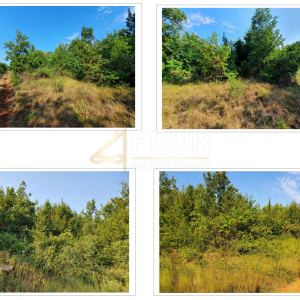 Istra, Kaštelir, poljoprivredno zemljište, 13.182m2