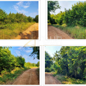 Istra, Kaštelir, poljoprivredno zemljište, 13.182m2