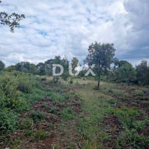ISTRA, KAVRAN - Vikend zemljišta 4067m2!