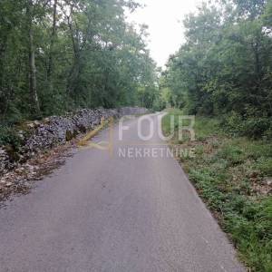 Istra, Kringa, poljoprivredno zemljište 11.979m2