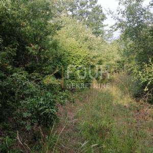 Istra, Kringa, poljoprivredno zemljište 11.979m2
