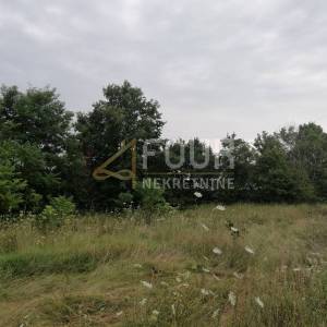  Istra, Kringa, poljoprivredno zemljište 539m2
