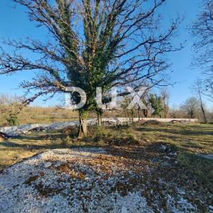 ISTRA, KRINGA – Zemljište + dozvola