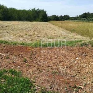 Istra, Krnica, poljoprivredno zemljište 4900m2