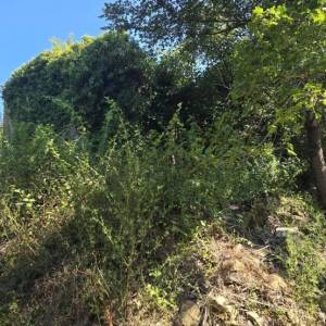 ISTRA, KRŠAN - Imanje za adaptaciju na osami
