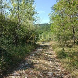 Istra, Kršan, zemljište 10.091m2