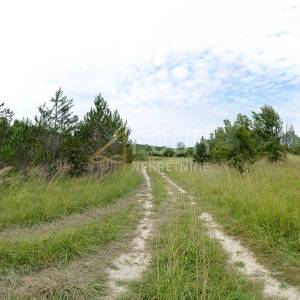 Istra, Kršan, zemljište 10.091m2