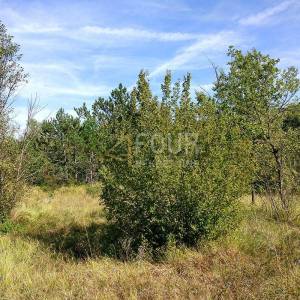 Istra, Kršan, zemljište 10.091m2