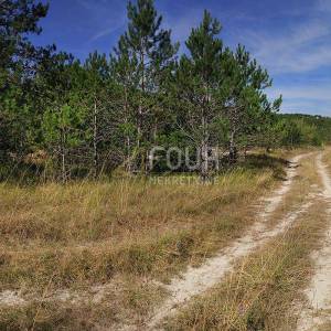 Istra, Kršan, zemljište 10.091m2