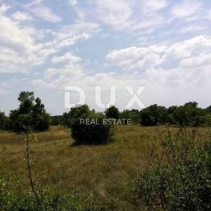 ISTRA, LABIN - Građevinsko i poljoprivredno zemljište 8180  m2