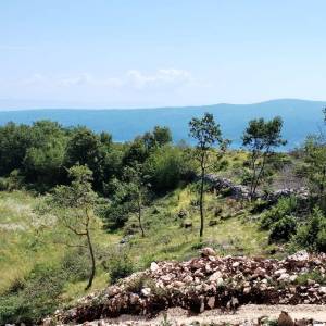 ISTRA- LABIN- Građevinsko zemljište 674 m2 okolica!
