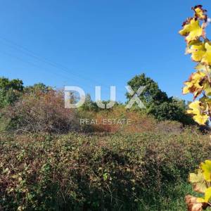 ISTRA, LABIN - Građevinsko zemljište površine 1.980 m2