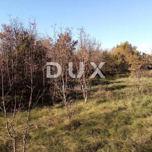 ISTRA, LABIN - Građevinsko zemljište 1362 m² za vilu, stambenu zgradu - stanove, obiteljsku kuću