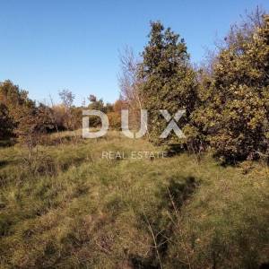 ISTRA, LABIN - Građevinsko zemljište 1325 m² za vilu, stambenu zgradu - stanove, obiteljsku kuću