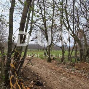 ISTRA, LABIN - Idilična livada
