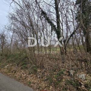 ISTRA, LABIN - Idilična livada