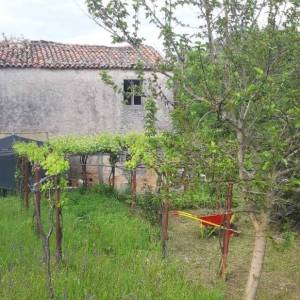 ISTRA, LABIN - Imanje na osami sa samostojećom kamenom kućom za renovaciju