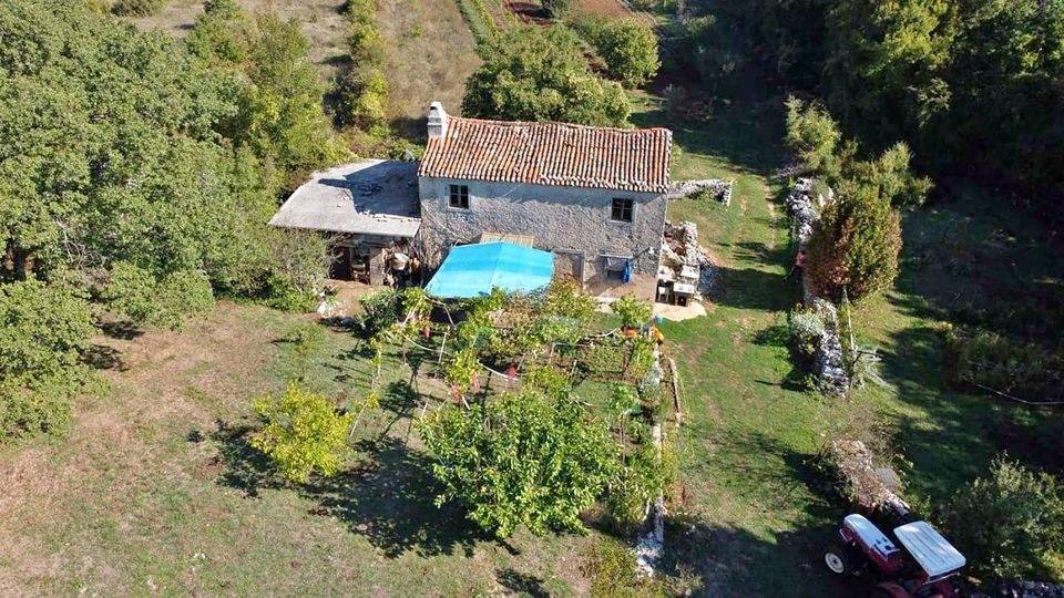 ISTRA, LABIN - Imanje na osami sa samostojećom kamenom kućom za renovaciju