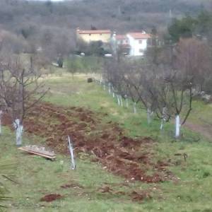 ISTRA, LABIN - Imanje na osami sa samostojećom kamenom kućom za renovaciju