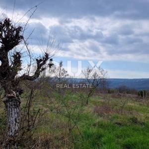 ISTRA, LABIN - Imanje zavidne veličine