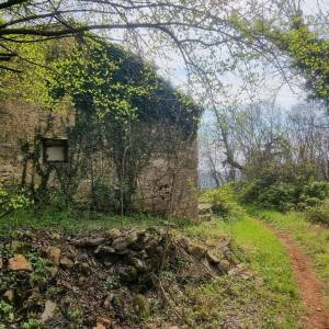 ISTRA, LABIN - Imanje zavidne veličine
