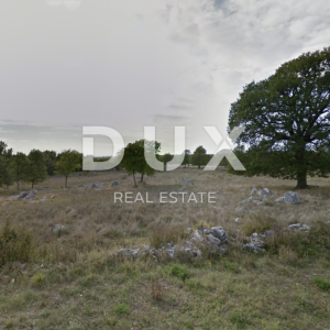 ISTRA, LABIN - Kamena kuća sa okućnicom od 1,1ha