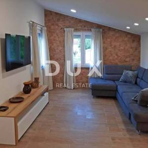 ISTRA, LABIN - Kuća i poslovni prostor