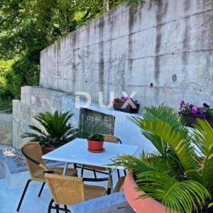 ISTRA, LABIN - Kuća i poslovni prostor