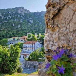 ISTRA, LABIN - Kuća i poslovni prostor