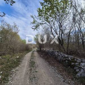 ISTRA, LABIN - Mlada šuma od 4 hektara