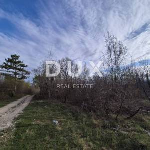 ISTRA, LABIN - Mlada šuma od 4 hektara