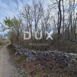 ISTRA, LABIN - Mlada šuma od 4 hektara