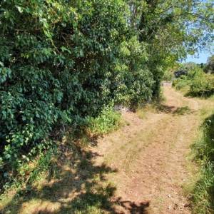 ISTRA, LABIN, NEDEŠĆINA - Građevinsko zemljište na mirnoj lokaciji samo 500 m od centra grada