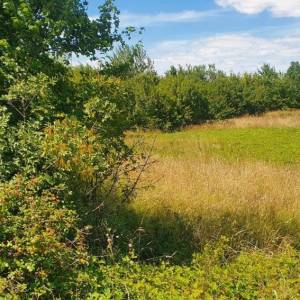 ISTRA, LABIN, NEDEŠĆINA - Građevinsko zemljište na mirnoj lokaciji samo 500 m od centra grada